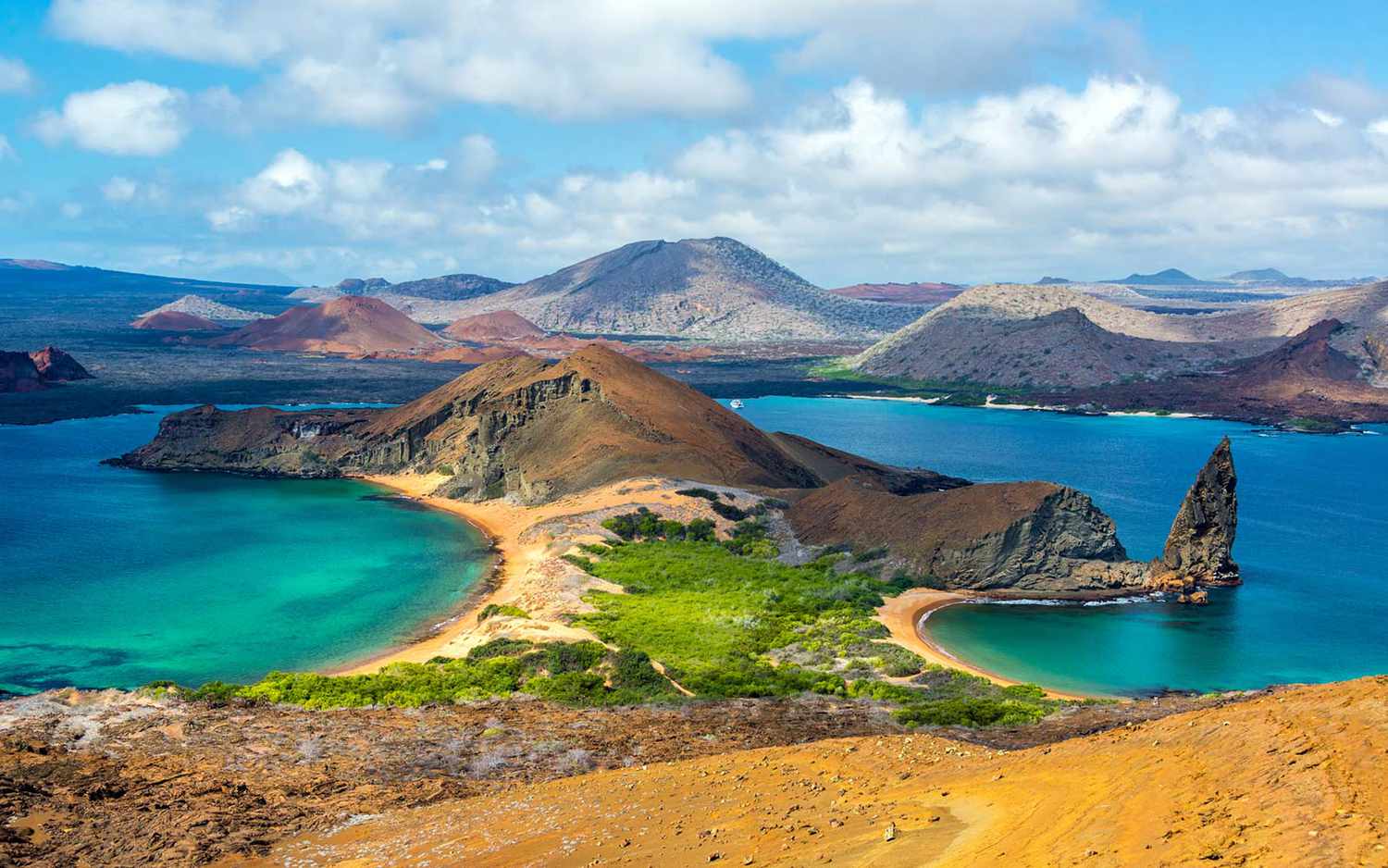 Galapagos Tours