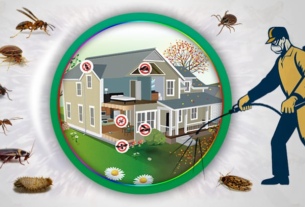 For reliable termite control for your household or business premises contact Your Trusted Pest Control Service Provider